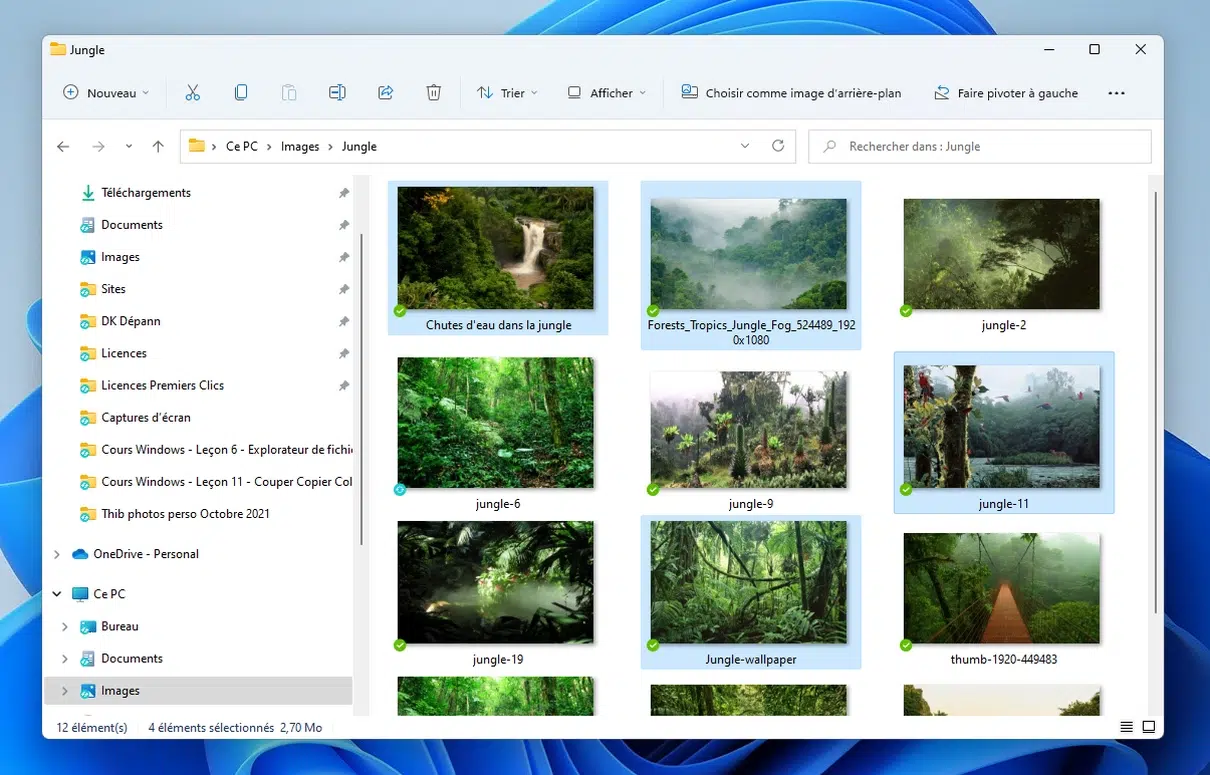 cours-windows-11-selectionner-plusieurs-fichiers Windows - Sélection multiple de fichiers