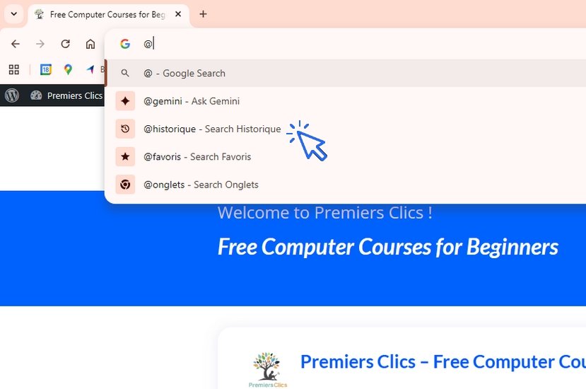 Computer-Basics-How-to-see-Google-Browsing
