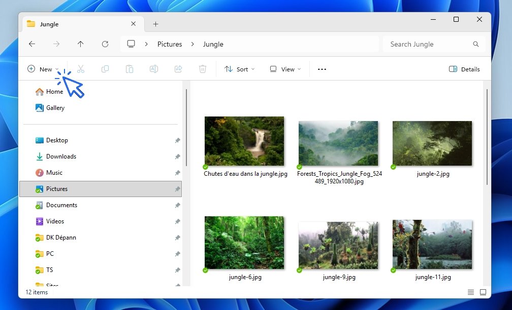 create folder in file explorer 2 Windows - Créer un dossier dans l'Explorateur